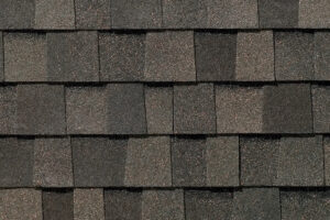 Detail of roof shingles Tamko Heritage Aged Wood