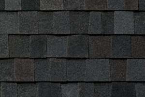 Detail of roof shingles Tamko Heritage Black Walnut
