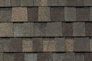 Detail of roof shingles Tamko Heritage Natural Timber